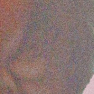 Meet your Posher, Ky